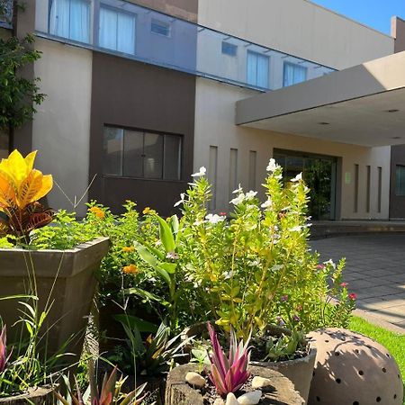 Maximus Business Hotel Ji-Paraná Zewnętrze zdjęcie