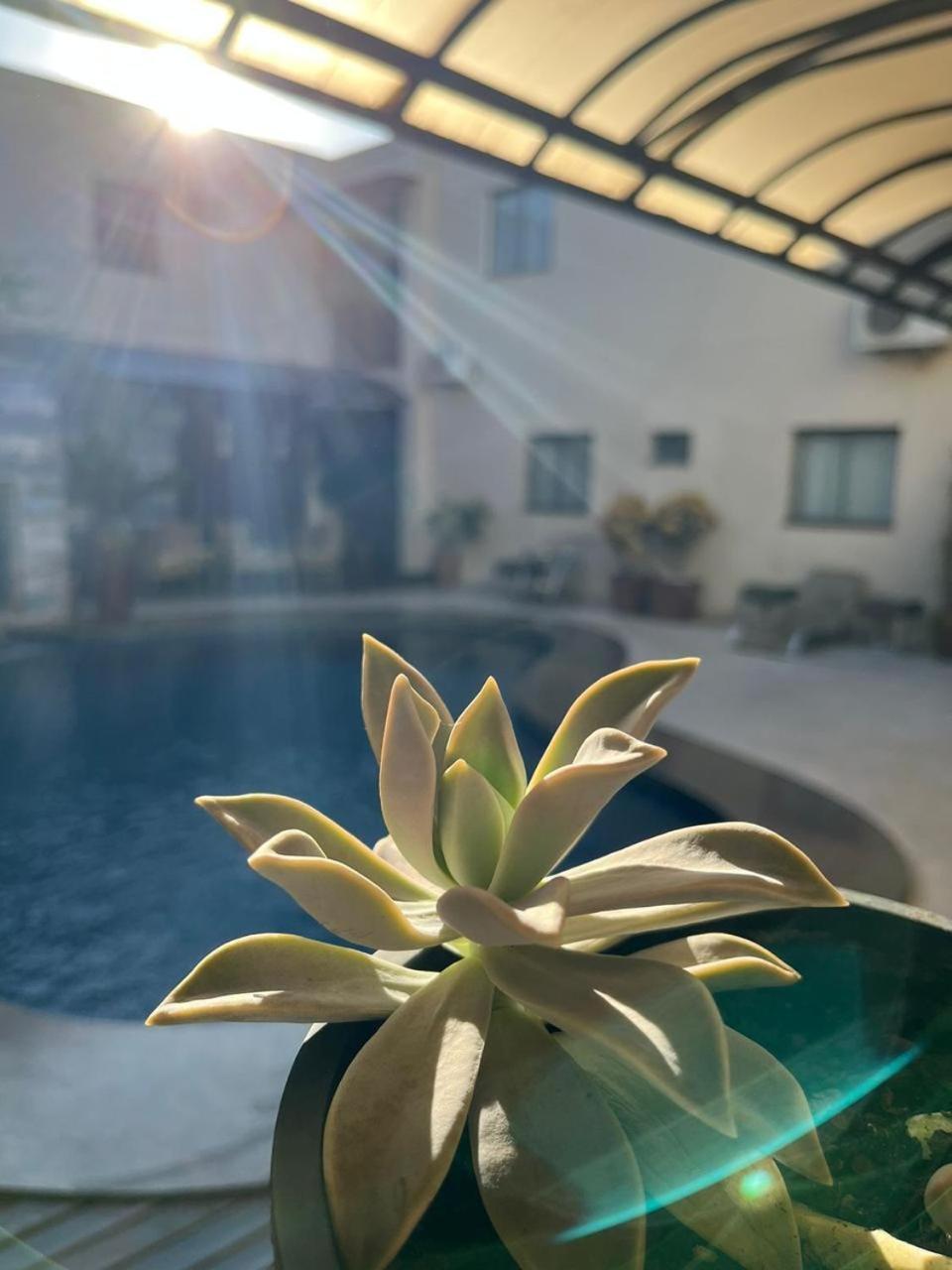 Maximus Business Hotel Ji-Paraná Zewnętrze zdjęcie