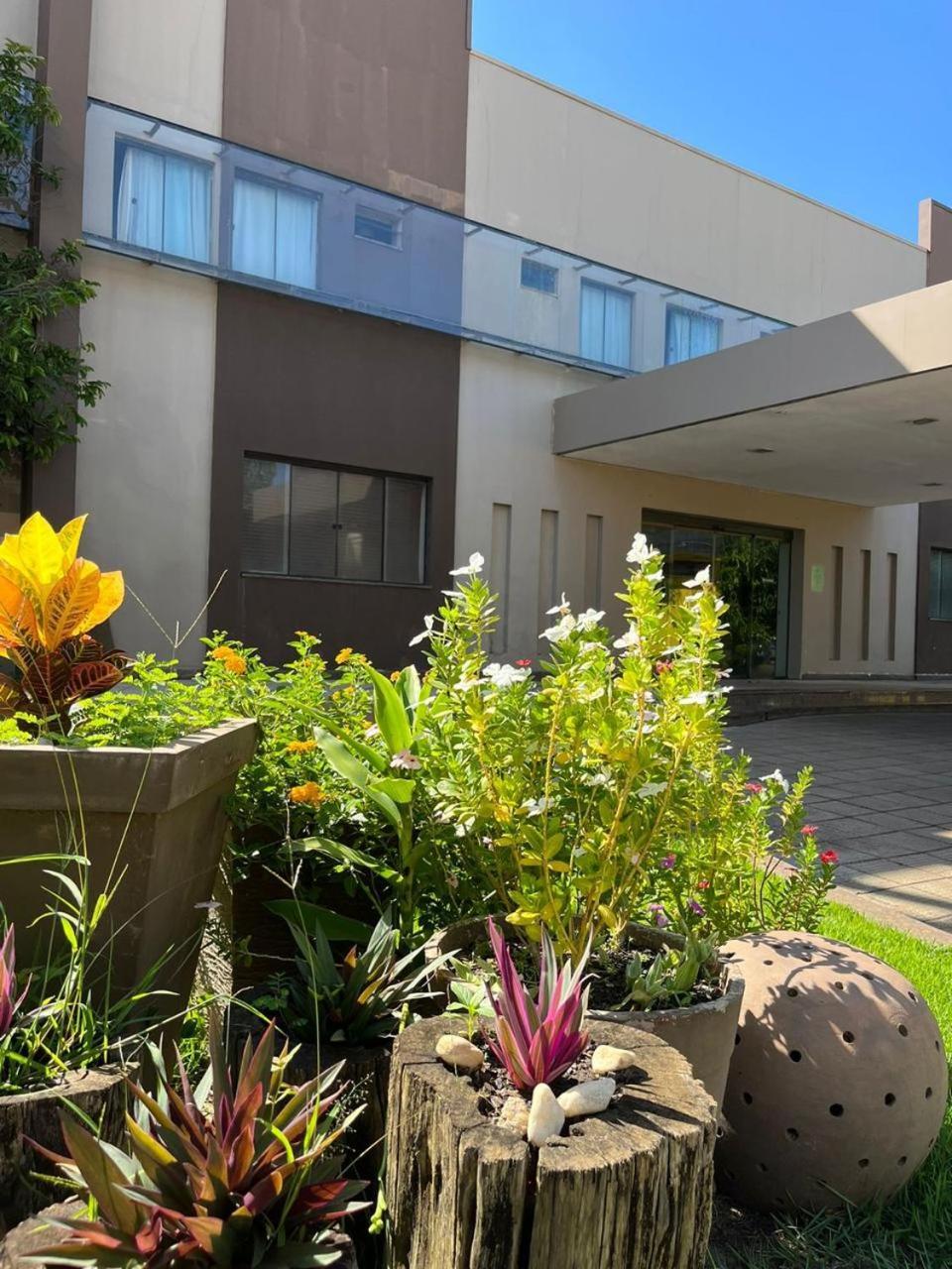 Maximus Business Hotel Ji-Paraná Zewnętrze zdjęcie